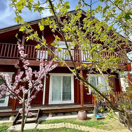 Log House #Ab1 Lägenhet Seto Exteriör bild